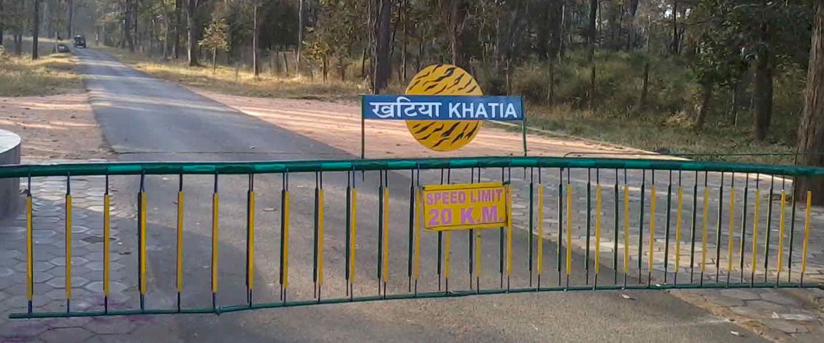 kanha5