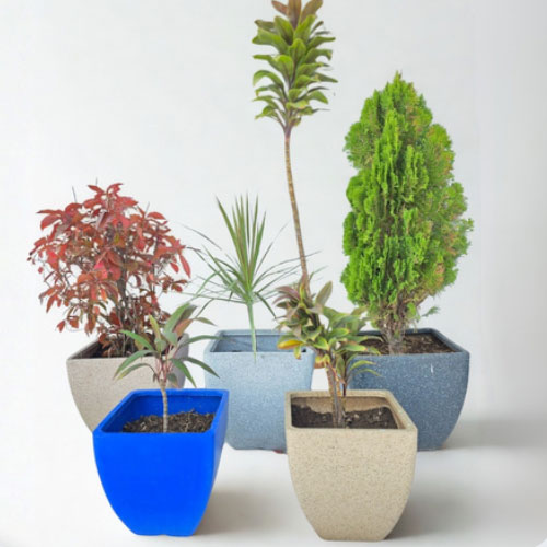 Taper Square Planter